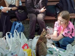 50646772211815172937762171891274819357220476n